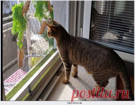 Оконные решетки для кошек — безопасность вашего питомца