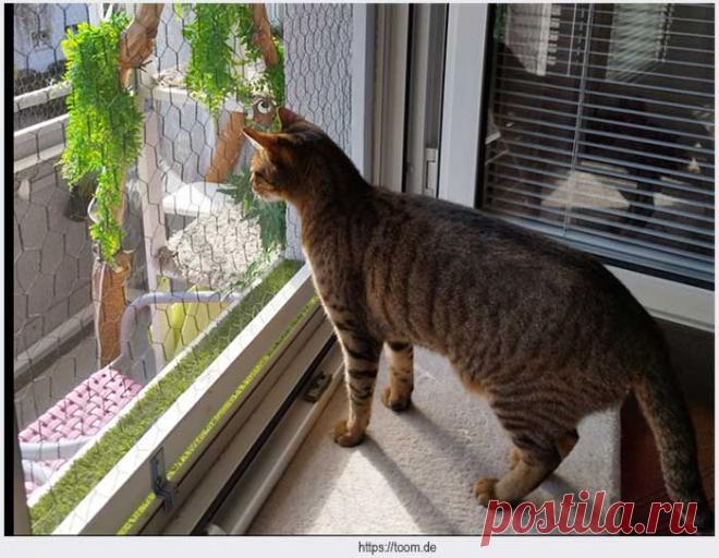 Оконные решетки для кошек — безопасность вашего питомца