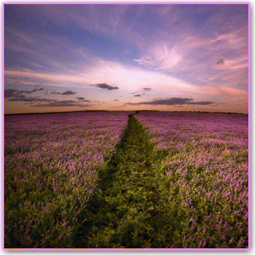 Мой Мир@Mail.Ru