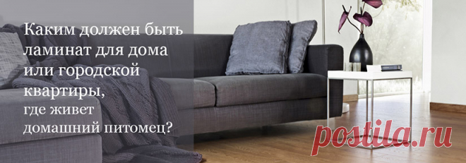 Какой ламинат можно постелить, если в доме живет большая собака? Лучший ламинат для дома с домашними питомцами в Екатеринбурге 

#ламинатдлясобаки#ламинатдлякошки#прочныйламинатдлясобаки#лучшийламинатдлясобаки#ламинатдлясобакикупить#Екатеринбург#Stonefloor