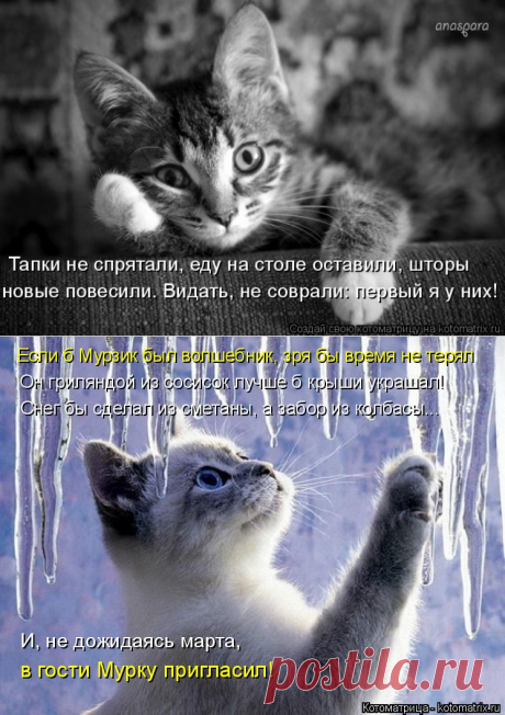 Они подарят вам отличное настроение!