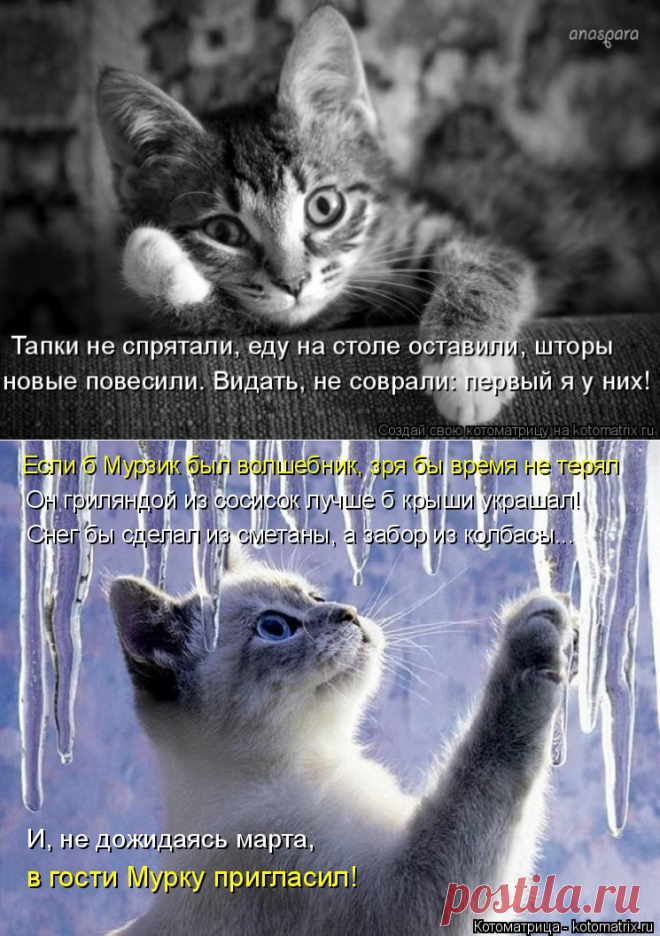 Они подарят вам отличное настроение!