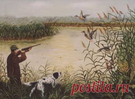 И ты опять, поднявшись до зари, Протрешь еще раз старую двустволку, В рюкзак уложишь соль и сухари И, не будя домашних, втихомолку, Уйдешь, чтоб мокнуть в утренней росе, За сучья елей задевать стволами И на заросшей тальником косе Часами наблюдать за чучелами.