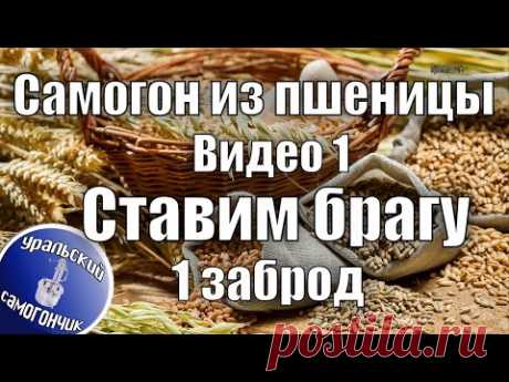 Самогон из пшеницы. Видео 1 - Ставим брагу, 1 заброд.