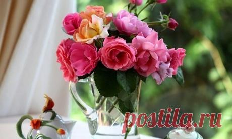 10 секретов «Долго стоящие » .