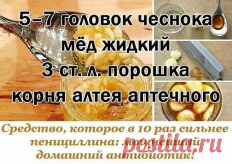 Мы представляем рецепт лекарства, которое в обязательном порядке должно быть в каждом доме. Чесночный сироп от кашля — проверенное средство по старинному рецепту. В детстве при первом же моем покашливании бабушка сразу готовила баночку такого лекарства, не давая болезни ни единого шанса.