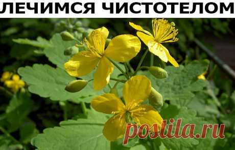 (75) Одноклассники
