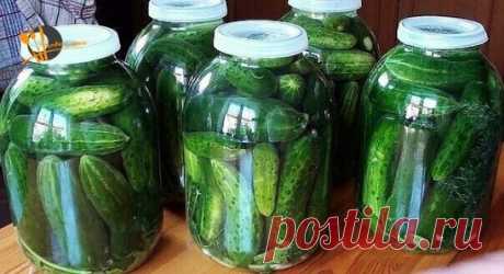 Соленые огурцы под капроновой крышкой на зиму. 2 способа 
.
