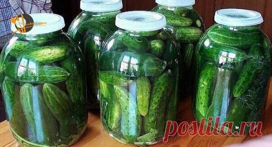 Соленые огурцы под капроновой крышкой на зиму. 2 способа 
.