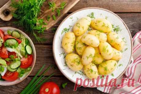 11 вкусных и ароматных блюд с укропом - Будет вкусно - Медиаплатформа МирТесен