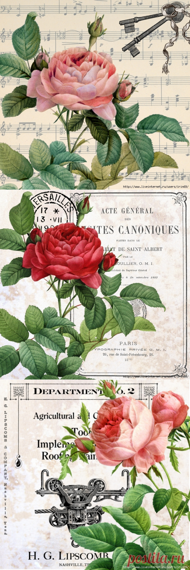 КОЛЛАЖИ С РОЗАМИ...