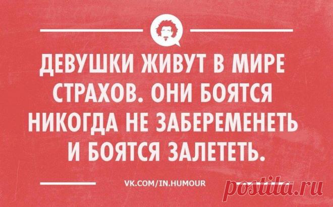 Surfingbird знает всё, что ты любишь