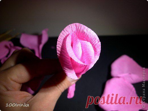 Фотографии на стене сообщества | 32 773 фотографии | ВКонтакте