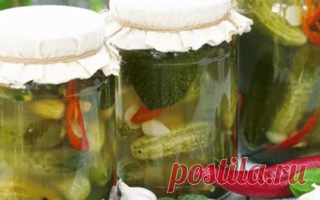 Солёные (квашеные) огурцы на зиму — Домашняя кулинария