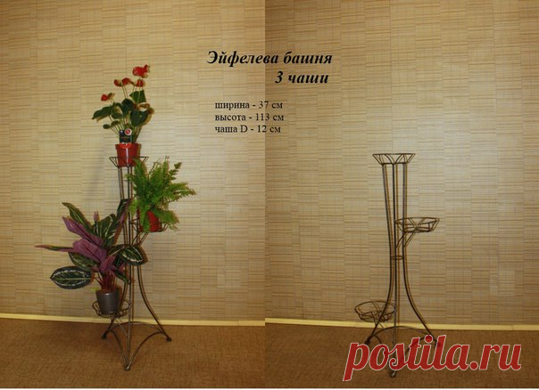 Альбомы Садовые и комнатные цветы в Кирове