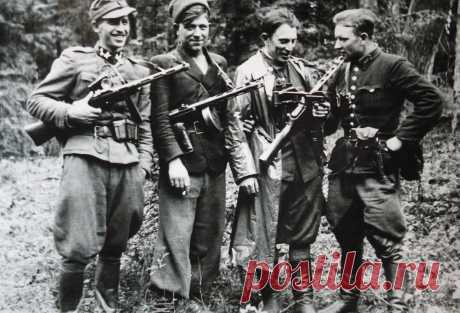 Кто воевал в тылу Красной армии, освобождавшей Европу от фашизма?