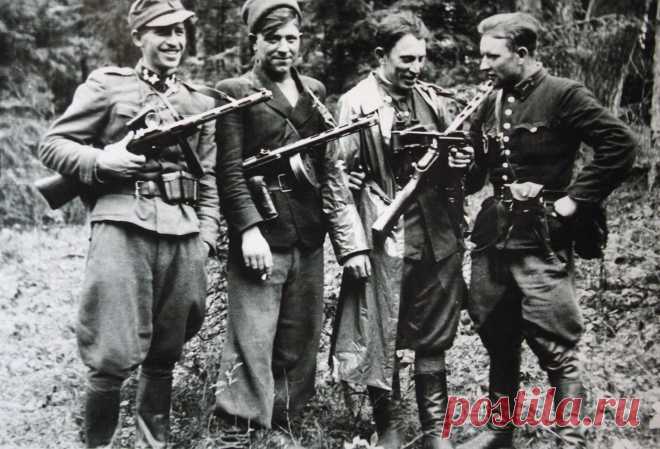 Кто воевал в тылу Красной армии, освобождавшей Европу от фашизма?