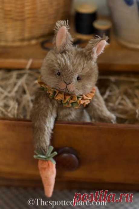 The Spotted Hare Gallery