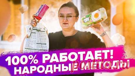 ТАБАЧНАЯ ПЫЛЬ, ЧАЙНАЯ ЗАВАРКА и КОНТЕЙНЕРЫ для ЯИЦ: топ народных методов #табачнаяпыль #посевморкови #народныеспособы #семенаалтаяДействительно ли работают народные способы?Мы проверили на себе и составили свой ТОП-3 метода, котор...