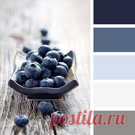 Белый цвет в интерьере - все про его сочетаемость с другими цветами. Полезные готовые палитры белого для идеального ремонта в вашем доме на сайте Стоун Флор Кострома 

#белыйвинтерьере#счемсочетатьбелый#белыйпалитра#белыйсочетания#белыйцветвинтерьере