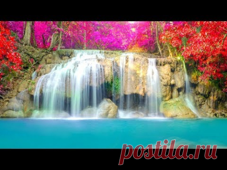 Сердце замирает! Эту музыку можно слушать вечно! Dmitry Metlitsky /Дмитрий Метлицкий