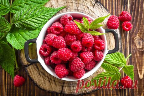 Скачать обои еда, малина, raspberries, раздел еда в разрешении 2048x1365