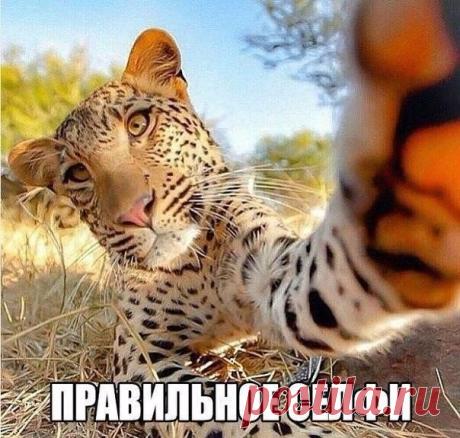 Мой Мир@Mail.Ru