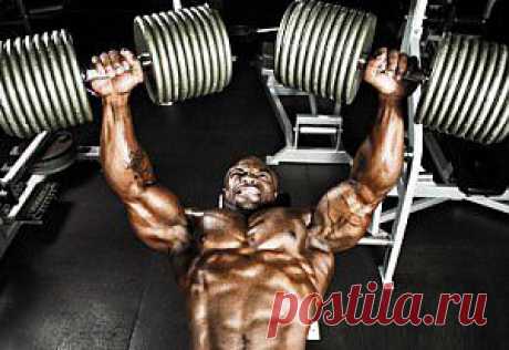 Упражнения для груди | Sport My Way | Sport - My Way