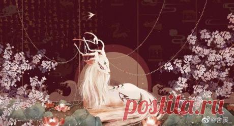 (31) Pinterest