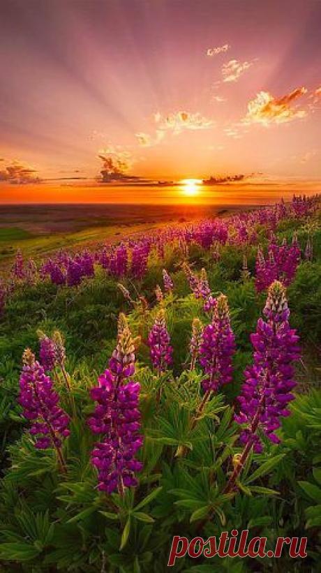 getImage (269×480)