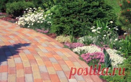 Тротуарная брусчатка из бетона
#ТротуарнаяБрусчатка #БетоннаяБрусчатка #ЛандшафтныйДизайн