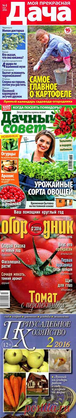 Fwd: цитата Veta-z : Кликаем....Читаем журналы он-лайн ( февраль 2016) (13:38 02-03-2016) [4580838/385798936] -