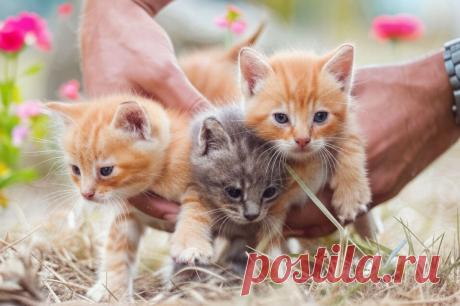 Она решила мне отомстить - OGADANIE.RU