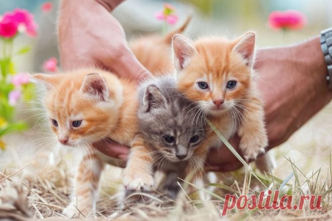 Она решила мне отомстить - OGADANIE.RU