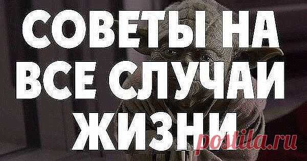 Полезные советы на все случаи жизни:
Ремонт квартиры
1. Гвоздь легко вбивается, если его острие окунуть в растительное масло.
2. Если в раствор цемента добавить сахар, он станет значительно крепче.
3. Алебастр, разведенный молоком, дольше застывает - им легче заделывать щели щеткой.
4. Если щетка для масляных работ очень жесткая, нужно на 1 минуту опустить ее в кипящий уксус.
5. Помещение, которое только что оклеили обоями, несколько дней нельзя проветривать, иначе обои на...