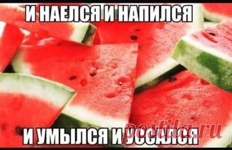 Подборка смешных и прикольных картинок