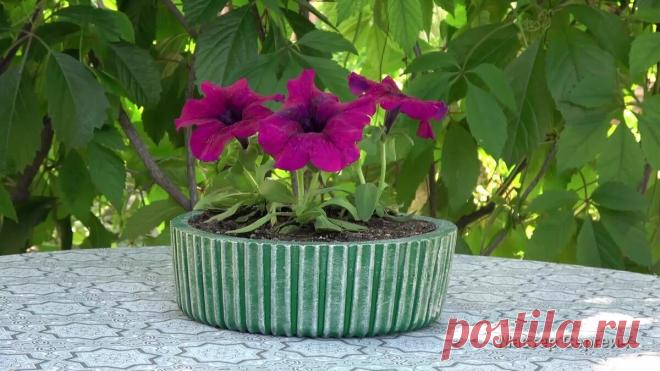 Я больше не выкидываю коробки от торта, ведь с их помощью можно сделать красивые вещи для сада | Мастер Сергеич | Яндекс Дзен