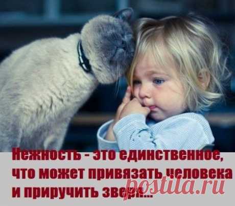 (57) Одноклассники