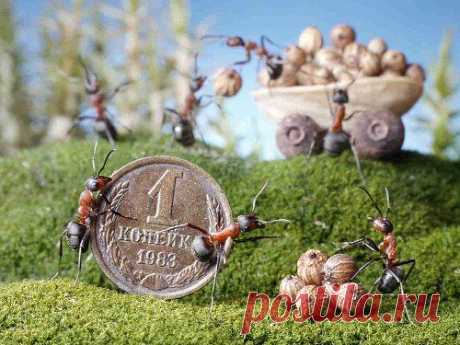 Денежные приметы и заговоры

Чего нельзя делать, чтоб деньги от себя не отпугнуть:

Не выносить мусор вечером
Не пересчитывать мелочь в кошельке
Не класть деньги или кошелек на обеденный стол
Не ставить сумку с кошельком на пол
Разменивать кому-то деньги на мелочь - к слезам.
Нельзя на большие православные праздники давать кому-либо взаймы деньги или соль и долги принимать тоже нельзя.
Не свистеть в доме
Когда солнце село, из дома не выносят ни воду, ни мусор, ни деньги
Де...