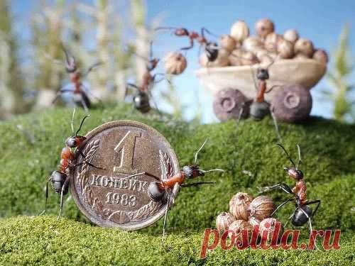 Денежные приметы и заговоры

Чего нельзя делать, чтоб деньги от себя не отпугнуть:

Не выносить мусор вечером
Не пересчитывать мелочь в кошельке
Не класть деньги или кошелек на обеденный стол
Не ставить сумку с кошельком на пол
Разменивать кому-то деньги на мелочь - к слезам.
Нельзя на большие православные праздники давать кому-либо взаймы деньги или соль и долги принимать тоже нельзя.
Не свистеть в доме
Когда солнце село, из дома не выносят ни воду, ни мусор, ни деньги
Де...