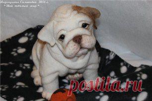 Одноклассники