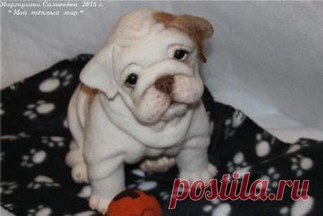 Одноклассники