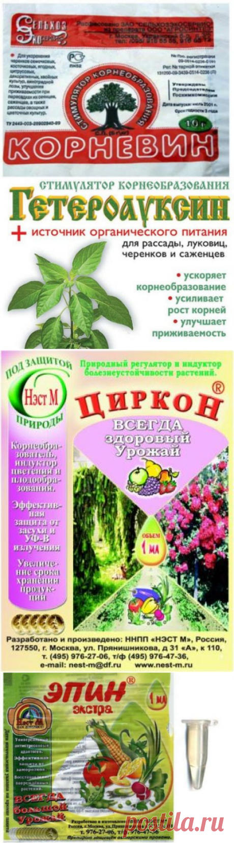 Лучшие стимуляторы роста: применение и характеристики