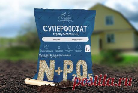 Суперфосфат на сюрпризы богат 

Что такого особенного или «суперского» в суперфосфате? Приставка означает, что удобрение высшего качества, лучшее и незаменимое. В нем много ценного, сверх того, что указано. Применение его может принести много пользы на дачном участке. Надо лишь все делать по правилам. Итак, что это за вещество? 

Зачем и почему 

Понятно, что основная доля в этом удобрении приходится на фосфор. Он участвует в фотосинтезе и энергетических процессах в клетка...