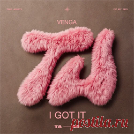 VENGA - I Got It | 4DJsonline.com