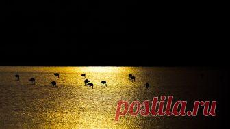 Неразобранное в Эйлат — Яндекс.Диск