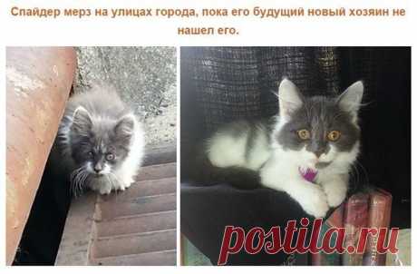Новости - МирТесен