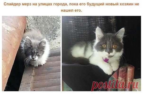 Новости - МирТесен