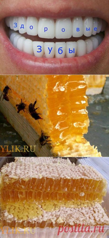 Как забыть про стоматологов