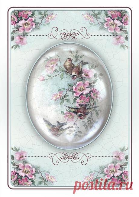 sqesGohvgZg.jpg (763×1080)